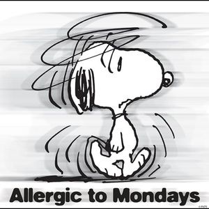 Meet your Posher, Evelyn